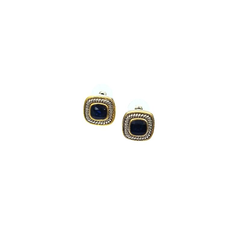 Silver with Gold-plated Earrings (with Black Stones)
